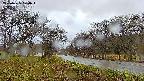 takano1-20250425174016.jpg