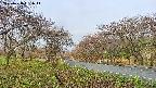 takano1-20250428061014.jpg