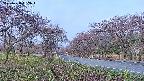takano1-20250428062017.jpg