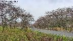 takano1-20250428063016.jpg