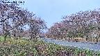 takano1-20250428065016.jpg