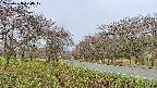 takano1-20250428070018.jpg