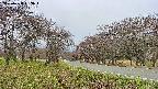 takano1-20250428093016.jpg