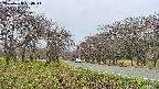 takano1-20250428094015.jpg