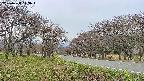 takano1-20250428143018.jpg