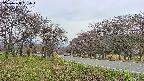 takano1-20250428151017.jpg