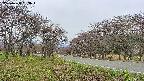 takano1-20250428153016.jpg