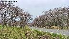 takano1-20250428163017.jpg