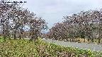 takano1-20250428174015.jpg