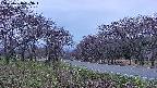takano1-20250428183017.jpg