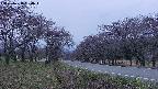 takano1-20250428184017.jpg