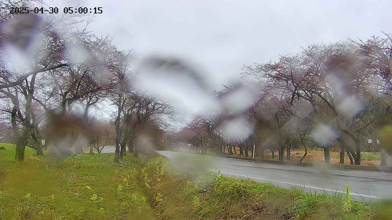 takano1-20250430050016.jpg
