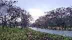 takano1-20250430060016.jpg