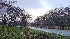 takano1-20250430061017.jpg