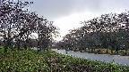 takano1-20250430062016.jpg