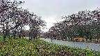 takano1-20250430063017.jpg