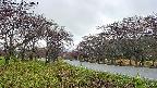 takano1-20250430064017.jpg