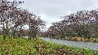takano1-20250430065017.jpg