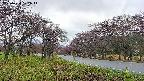 takano1-20250430072016.jpg