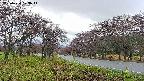 takano1-20250430073016.jpg