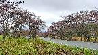 takano1-20250430074015.jpg