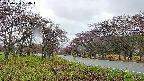 takano1-20250430080017.jpg