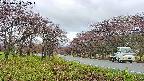 takano1-20250430082016.jpg