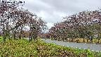 takano1-20250430083018.jpg