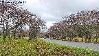 takano1-20250430085017.jpg