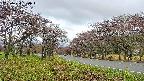 takano1-20250430090018.jpg