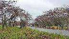 takano1-20250430092022.jpg