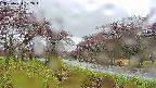 takano1-20250430102016.jpg