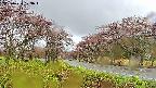 takano1-20250430103017.jpg