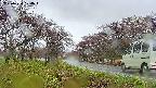 takano1-20250430104016.jpg