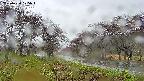 takano1-20250430105016.jpg