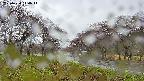 takano1-20250430110017.jpg