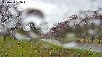 takano1-20250430123015.jpg