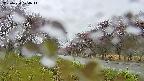takano1-20250430124015.jpg