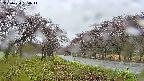 takano1-20250430130015.jpg