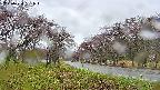 takano1-20250430131016.jpg