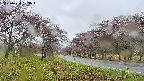 takano1-20250430133016.jpg