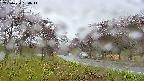 takano1-20250430134015.jpg