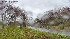 takano1-20250430135016.jpg