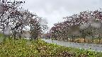 takano1-20250430140017.jpg