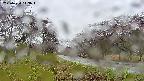 takano1-20250430143017.jpg