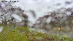 takano1-20250430144014.jpg
