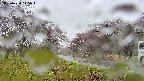 takano1-20250430145017.jpg