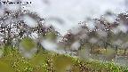 takano1-20250430151017.jpg