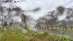 takano1-20250430152016.jpg