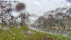 takano1-20250430153016.jpg